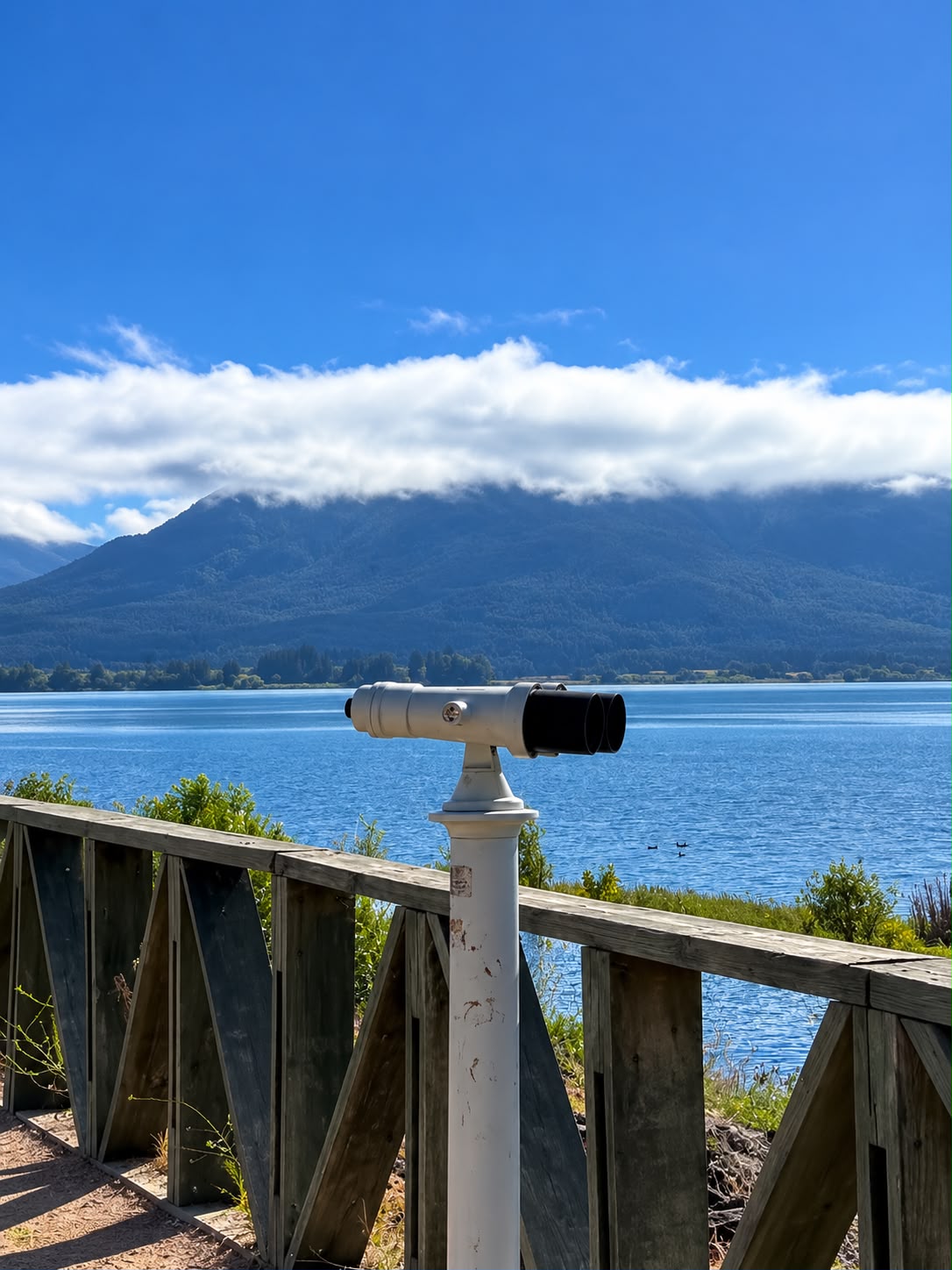 Mirador Lago Machicura