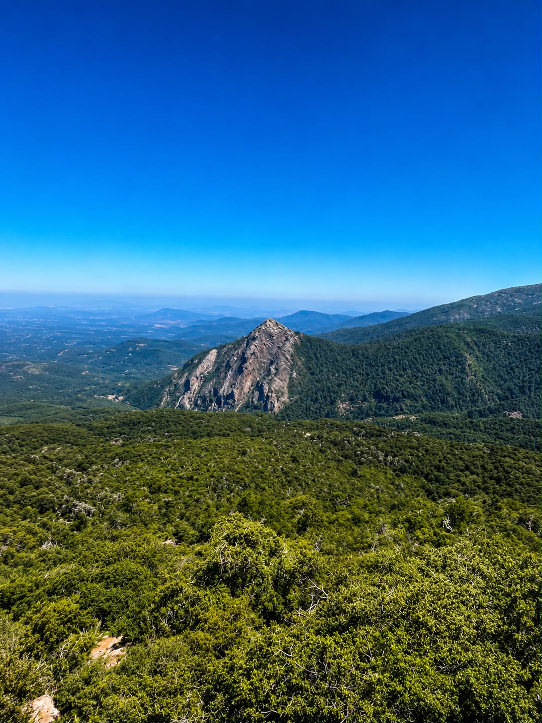 Reserva Nacional Altos de Lircay