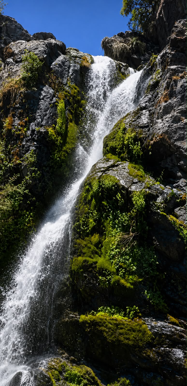 Salto La Leona